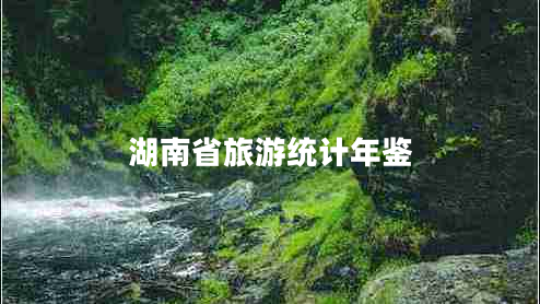 湖南省旅游統(tǒng)計(jì)年鑒 湖南省旅游統(tǒng)計(jì)年鑒