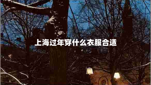 上海過(guò)年穿什么衣服合適 上海過(guò)年穿什么衣服合適