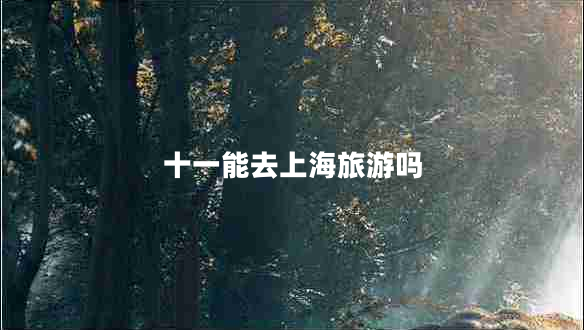 十一能去上海旅游嗎 十一能去上海旅游嗎