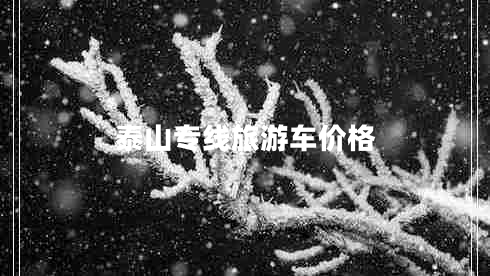 泰山專線旅游車價(jià)格