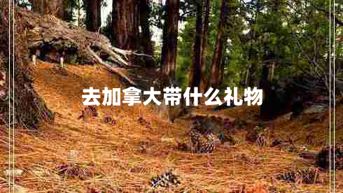 去加拿大帶什么禮物 去加拿大帶什么禮物