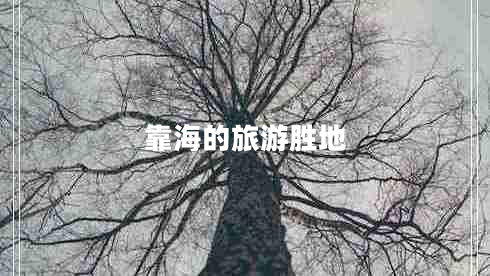 靠海的旅游勝地