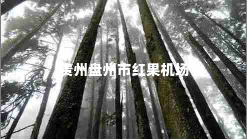 貴州盤州市紅果機場