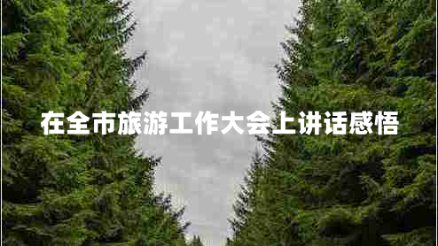 在全市旅游工作大會上講話感悟