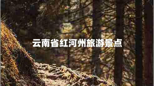 云南省紅河州旅游景點(diǎn)
