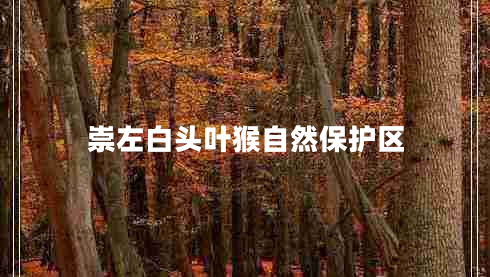 崇左白頭葉猴自然保護(hù)區(qū) 崇左白頭葉猴自然保護(hù)區(qū)