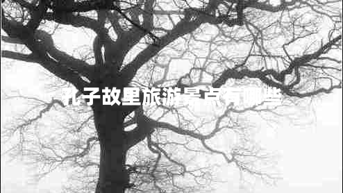 孔子故里旅游景點(diǎn)有哪些 孔子故里旅游景點(diǎn)有哪些