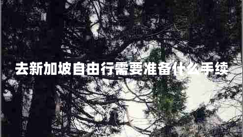 去新加坡自由行需要準(zhǔn)備什么手續(xù) 去新加坡自由行需要準(zhǔn)備什么手續(xù)