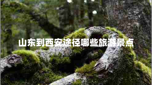 山東到西安途徑哪些旅游景點(diǎn) 山東到西安途徑哪些旅游景點(diǎn)