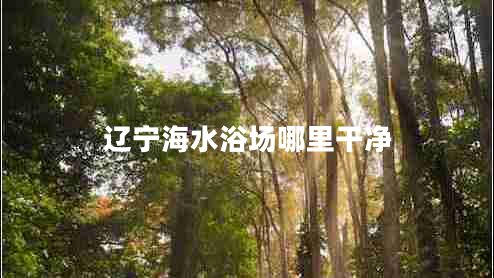 遼寧海水浴場哪里干凈