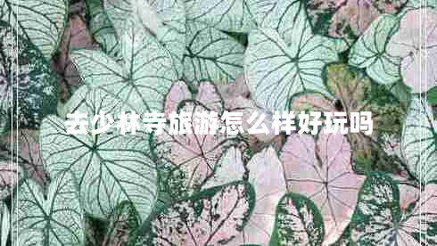 去少林寺旅游怎么樣好玩嗎