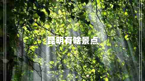 昆明有啥景點(diǎn) 昆明有啥景點(diǎn)