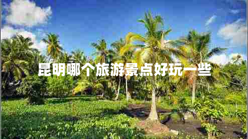 昆明哪個旅游景點好玩一些 昆明哪個旅游景點好玩一些