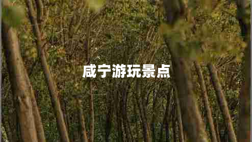 咸寧游玩景點(diǎn) 咸寧游玩景點(diǎn)