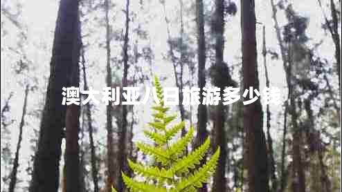澳大利亞八日旅游多少錢