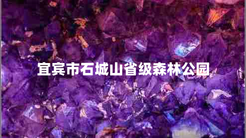 宜賓市石城山省級(jí)森林公園