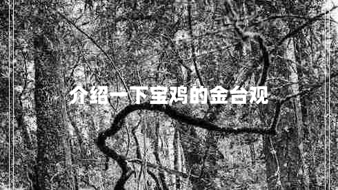 介紹一下寶雞的金臺觀