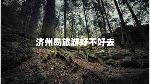 濟(jì)州島旅游好不好去