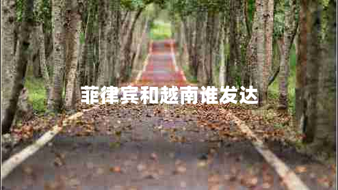 菲律賓和越南誰發(fā)達