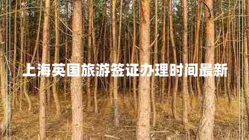 上海英國(guó)旅游簽證辦理時(shí)間最新