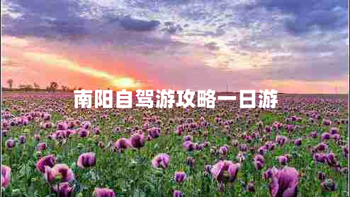 南陽自駕游攻略一日游 南陽自駕游攻略一日游