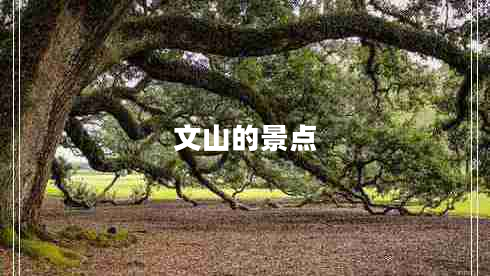文山的景點 文山的景點
