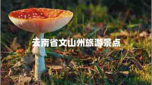 云南省文山州旅游景點(diǎn) 云南省文山州旅游景點(diǎn)
