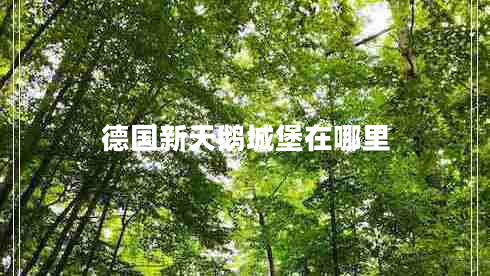 德國新天鵝城堡在哪里 德國新天鵝城堡在哪里