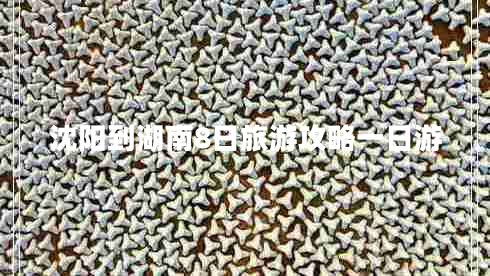 沈陽到湖南8日旅游攻略一日游