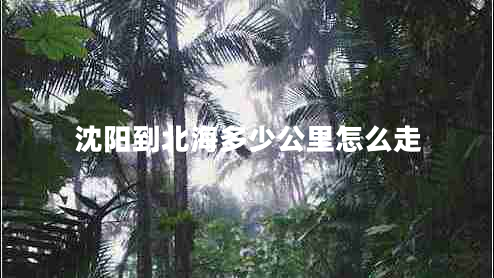 沈陽(yáng)到北海多少公里怎么走