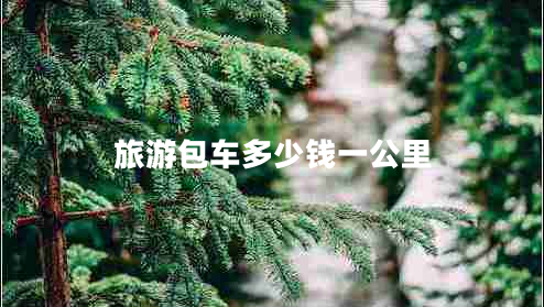 旅游包車多少錢一公里 旅游包車多少錢一公里