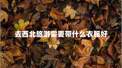 去西北旅游需要帶什么衣服好
