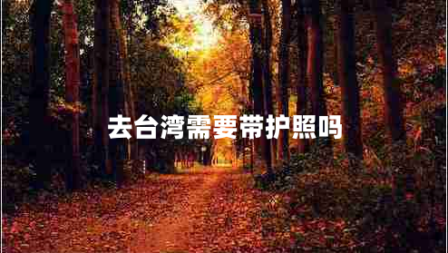 去臺灣需要帶護(hù)照嗎