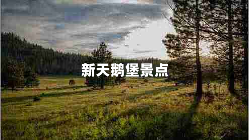 新天鵝堡景點(diǎn) 新天鵝堡景點(diǎn)