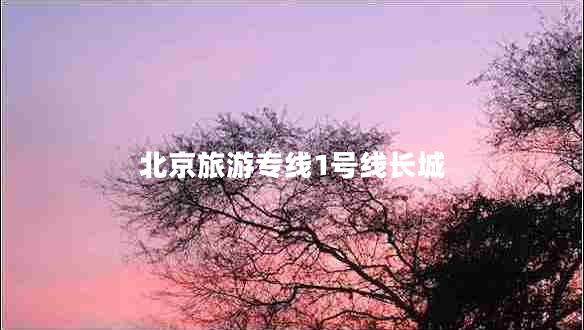 北京旅游專線1號(hào)線長城