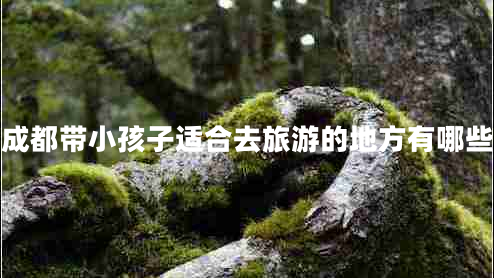 成都帶小孩子適合去旅游的地方有哪些