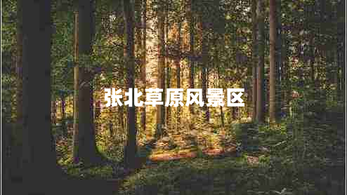 張北草原風景區(qū)