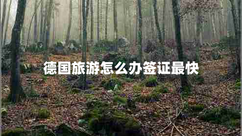 德國旅游怎么辦簽證最快 德國旅游怎么辦簽證最快