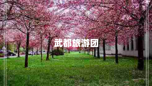 武都旅游團(tuán) 武都旅游團(tuán)