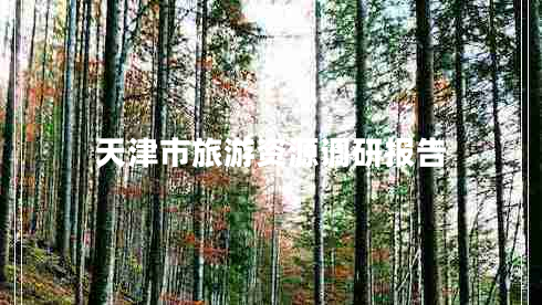 天津市旅游資源調(diào)研報(bào)告