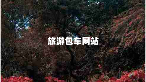 旅游包車網(wǎng)站