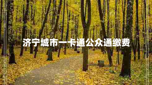 濟(jì)寧城市一卡通公眾通繳費(fèi)