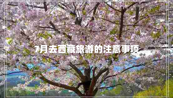 7月去西藏旅游的注意事項(xiàng) 7月去西藏旅游的注意事項(xiàng)