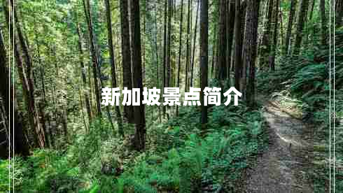 新加坡景點(diǎn)簡介