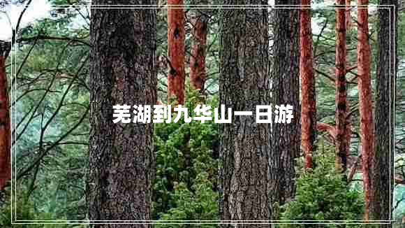 蕪湖到九華山一日游