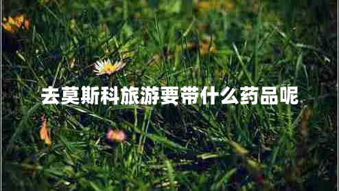 去莫斯科旅游要帶什么藥品呢 去莫斯科旅游要帶什么藥品呢