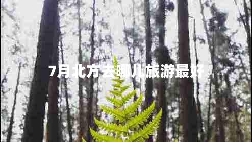 7月北方去哪兒旅游最好