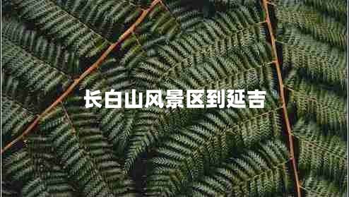 長白山風(fēng)景區(qū)到延吉