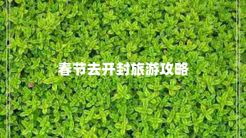 春節(jié)去開封旅游攻略