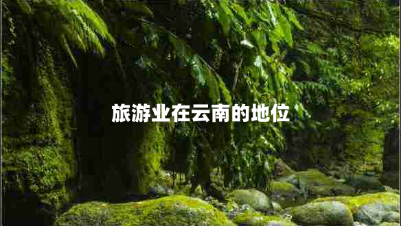 旅游業(yè)在云南的地位 旅游業(yè)在云南的地位